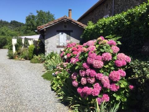 Loft Atypique Villeneuve-de-Rivière Exterior foto